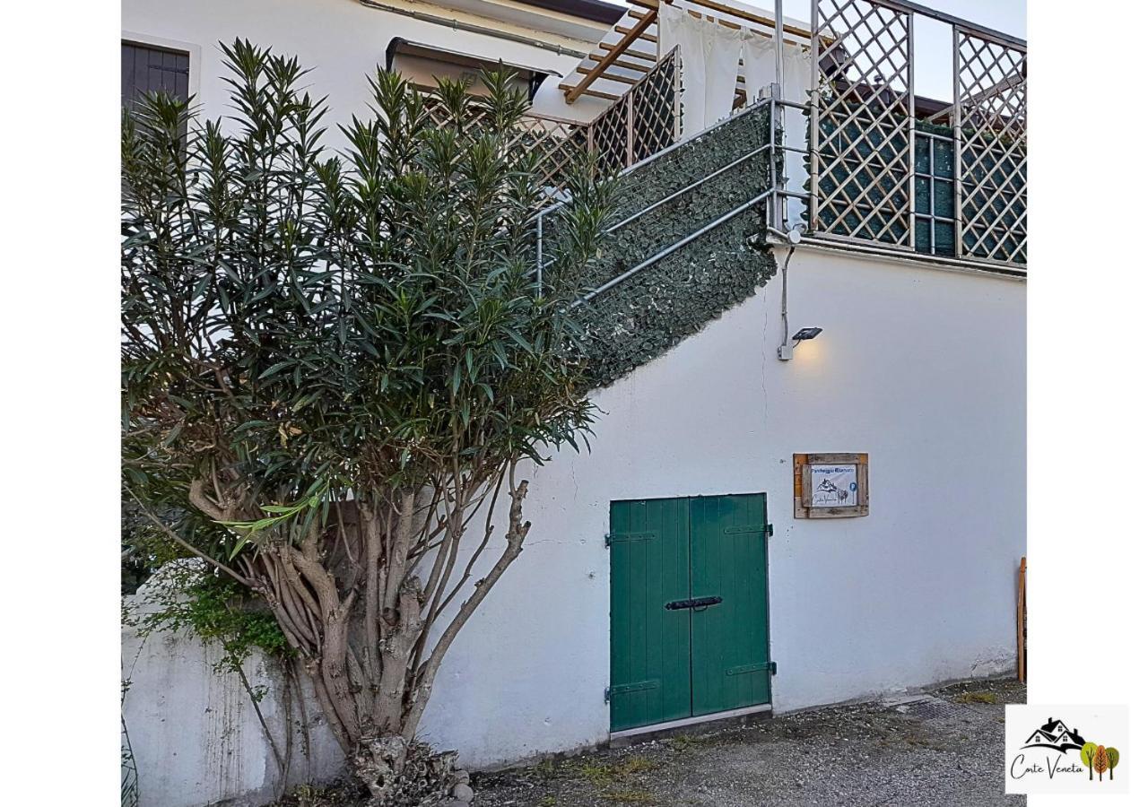 Corte Veneta Castelnuovo del Garda Bagian luar foto